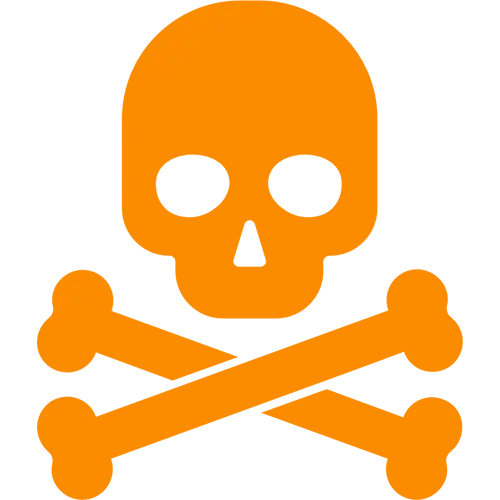 Skull Icon